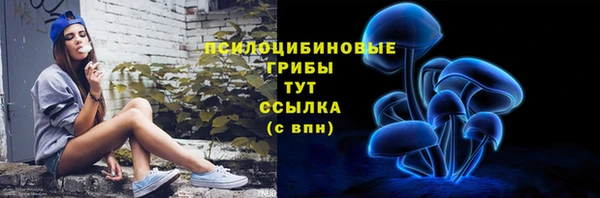 тгк Балахна