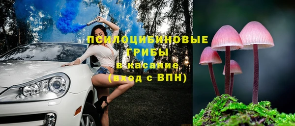 МДПВ Армянск