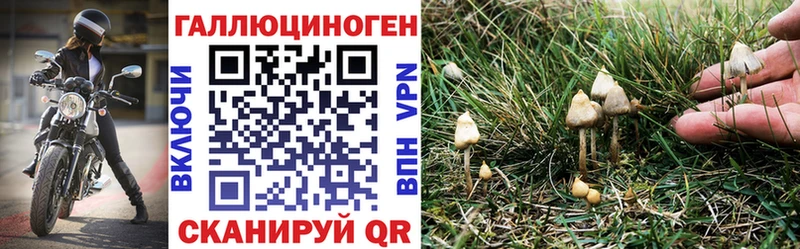 Галлюциногенные грибы ЛСД  Плавск 
